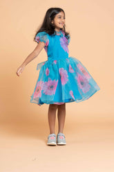 Blue organza Littlie Princesses Dress
