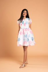 Blue And Pink Flowers White Organza Frock