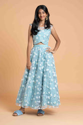 Blue net Heavy work Lehenga