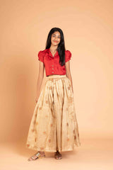 Minakari Tissue Crushed Lehenga And Collar Crop Top