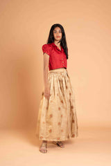 Minakari Tissue Crushed Lehenga And Collar Crop Top