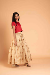 Minakari Tissue Crushed Lehenga And Collar Crop Top