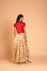 Minakari Tissue Crushed Lehenga And Collar Crop Top