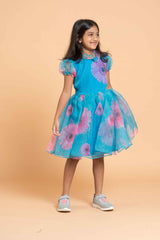 Blue organza Littlie Princesses Dress