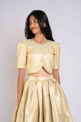 Rich Banaras Brocade Pastel Green Lehenga