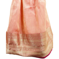 Peachy Festive Lehenga