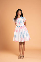 Blue And Pink Flowers White Organza Frock