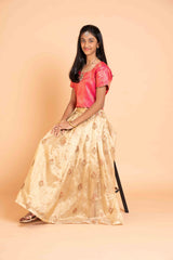 Gold tissue Lehenga
