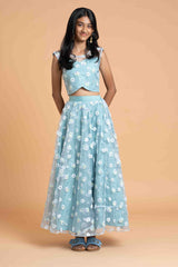 Blue net Heavy work Lehenga