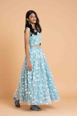 Blue net Heavy work Lehenga