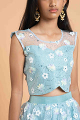 Blue net Heavy work Lehenga